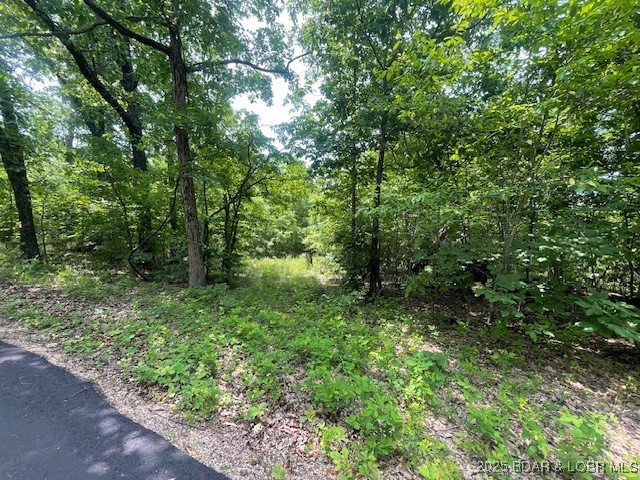 Adkins Road Climax Springs, MO 65324 - Photo 10 of 45