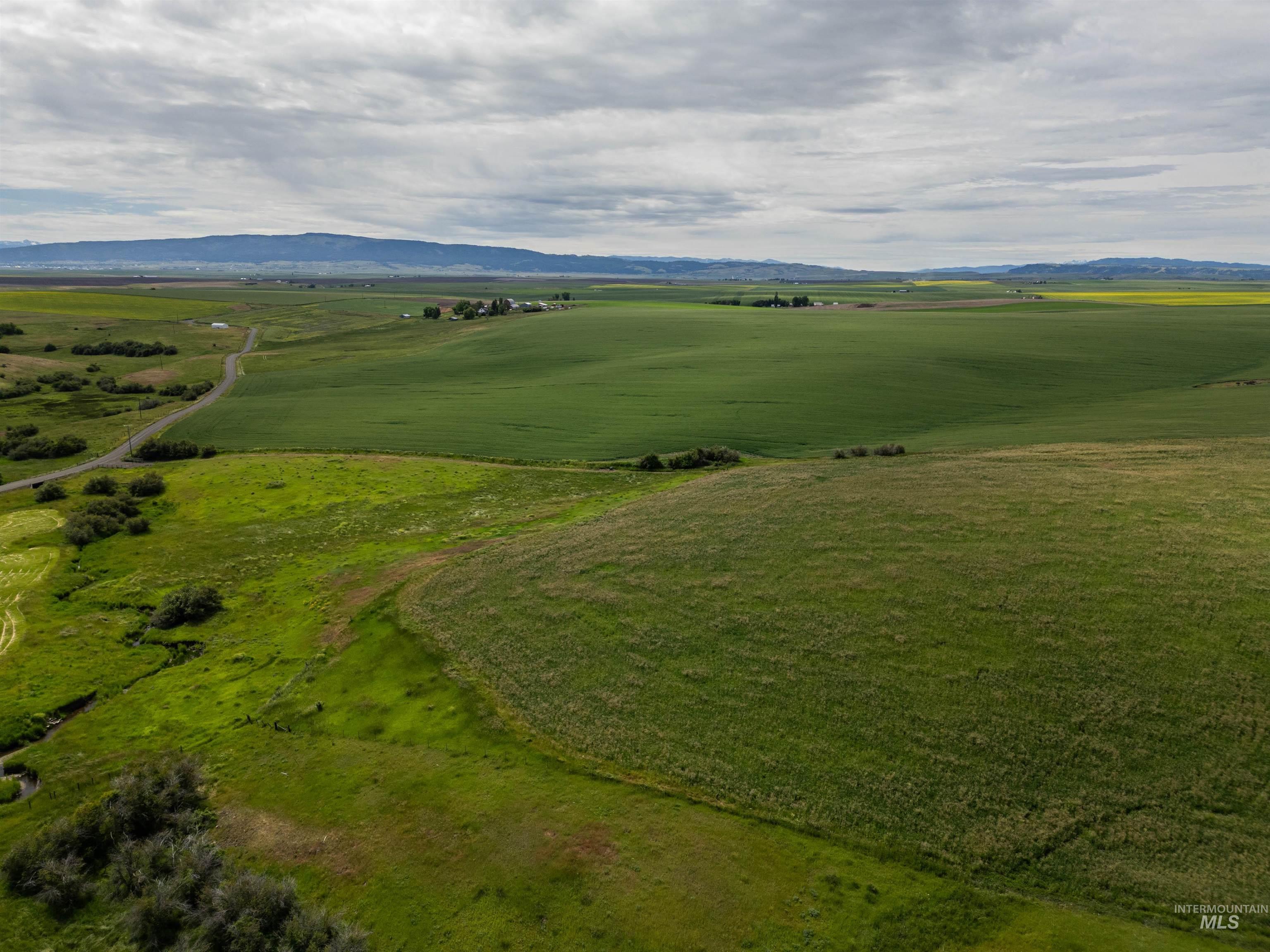 Tbd Wasem Road Grangeville, ID 83530 - Photo 3 of 11