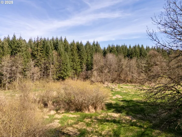 $1,475,000 | 19855 Northeast Trunk Road, Dundee, OR 97115