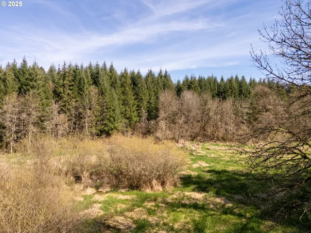 $1,575,000 | 19855 Northeast Trunk Road, Dundee, OR 97115
