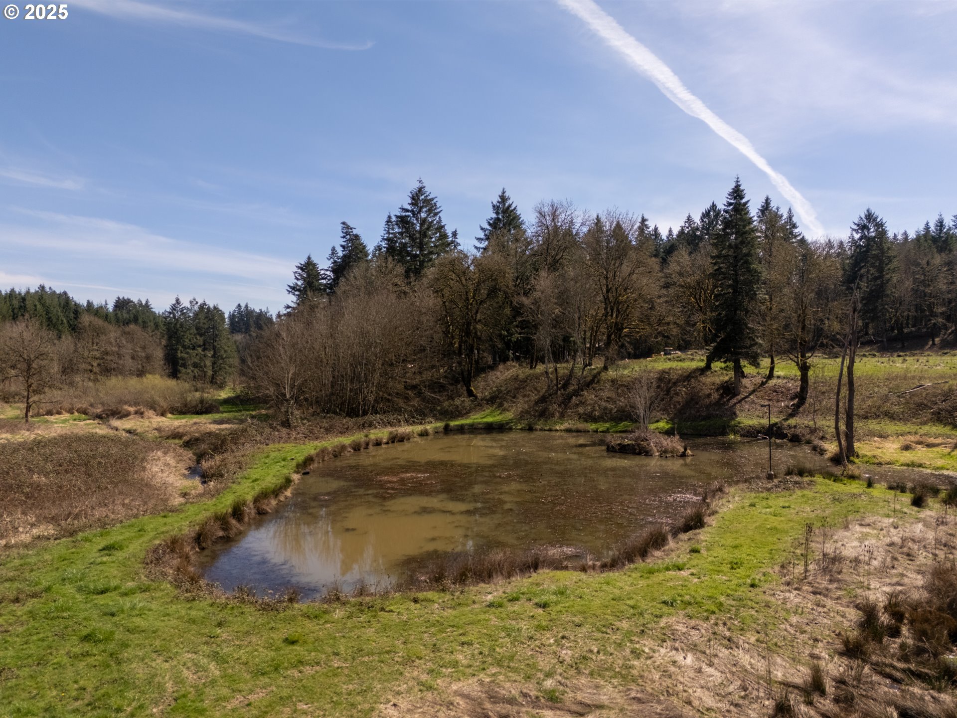 19855 Northeast Trunk Road Dundee, OR 97115 - Photo 36 of 44 Shop