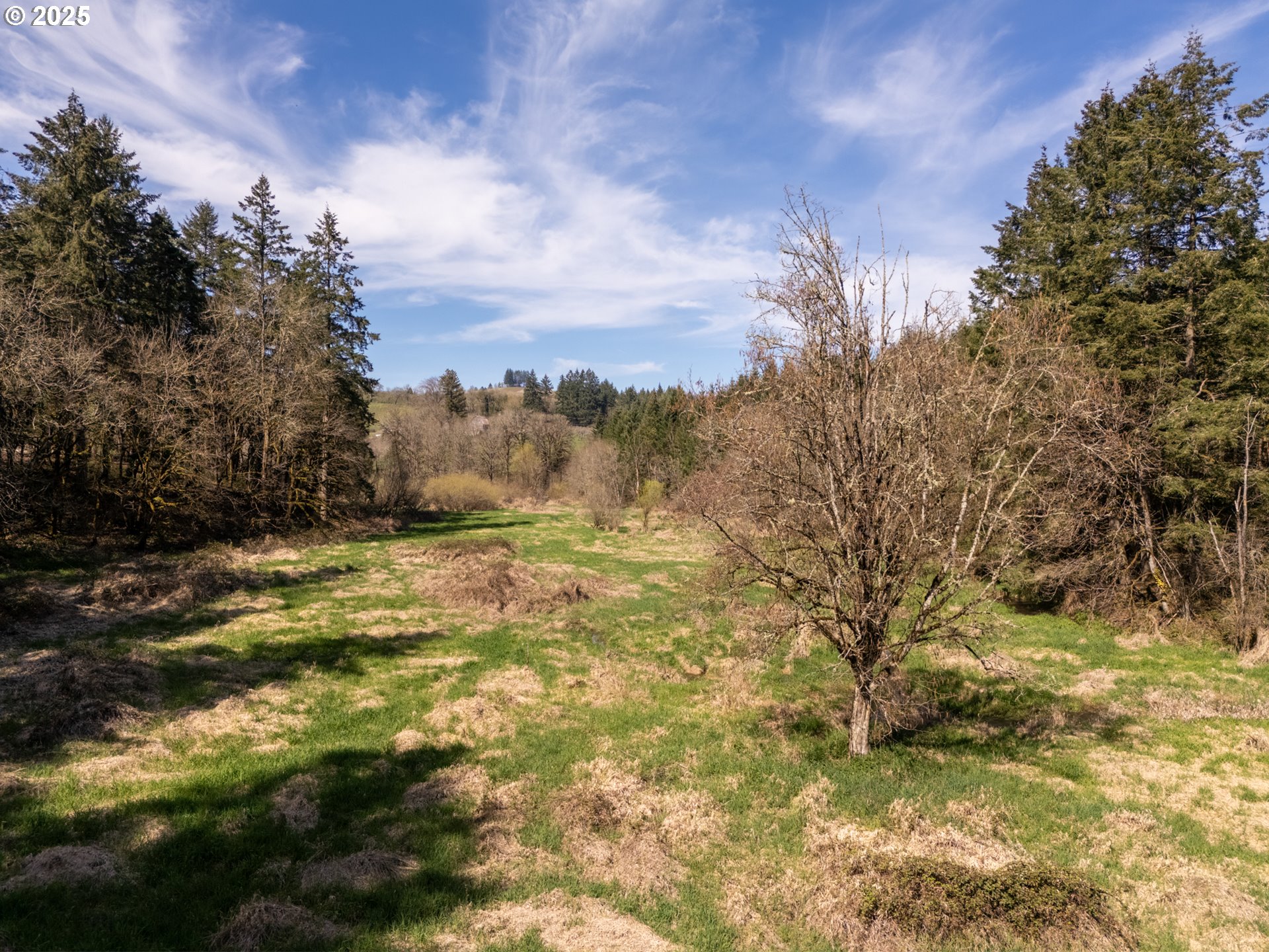 19855 Northeast Trunk Road Dundee, OR 97115 - Photo 37 of 44