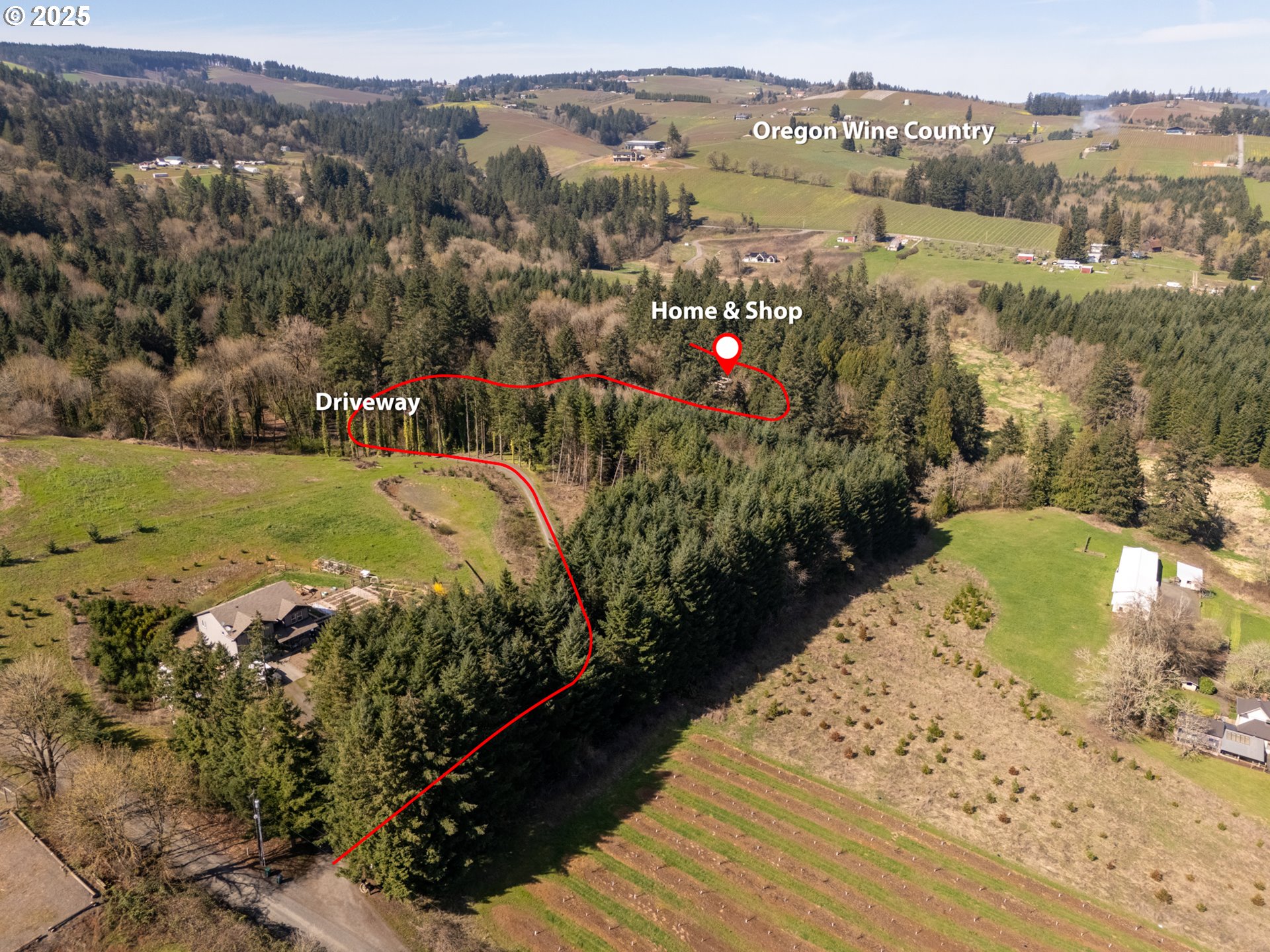 19855 Northeast Trunk Road Dundee, OR 97115 - Photo 41 of 44