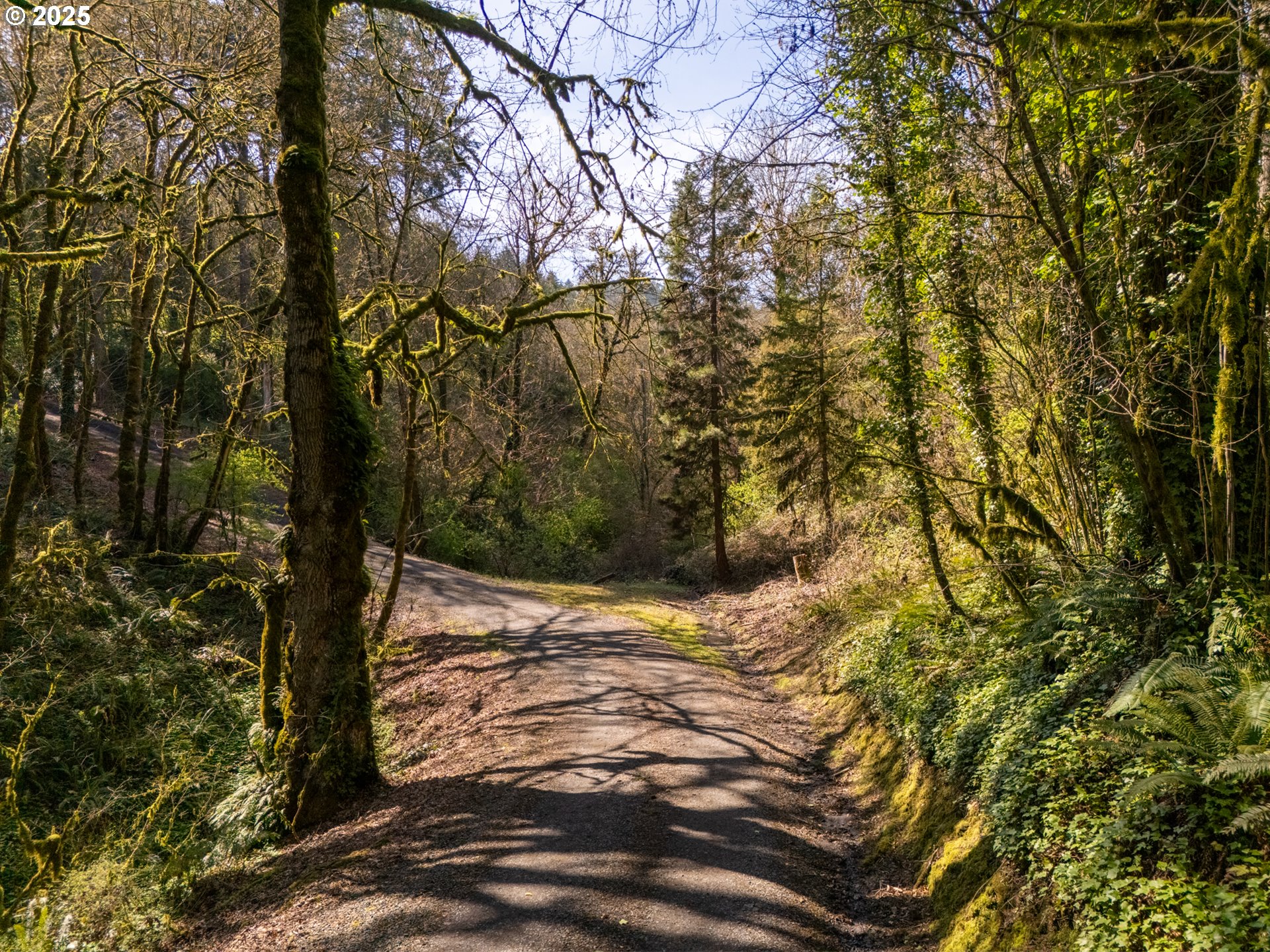 19855 Northeast Trunk Road Dundee, OR 97115 - Photo 42 of 44