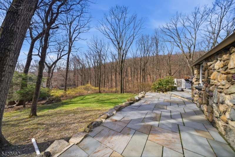 109 Taylortown Road Montville, NJ 07005 - Photo 44 of 50 a backyard of a house with lots of green space