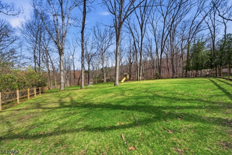 109 Taylortown Road Montville, NJ 07005 - Photo 46 of 50 a view of a park with large trees