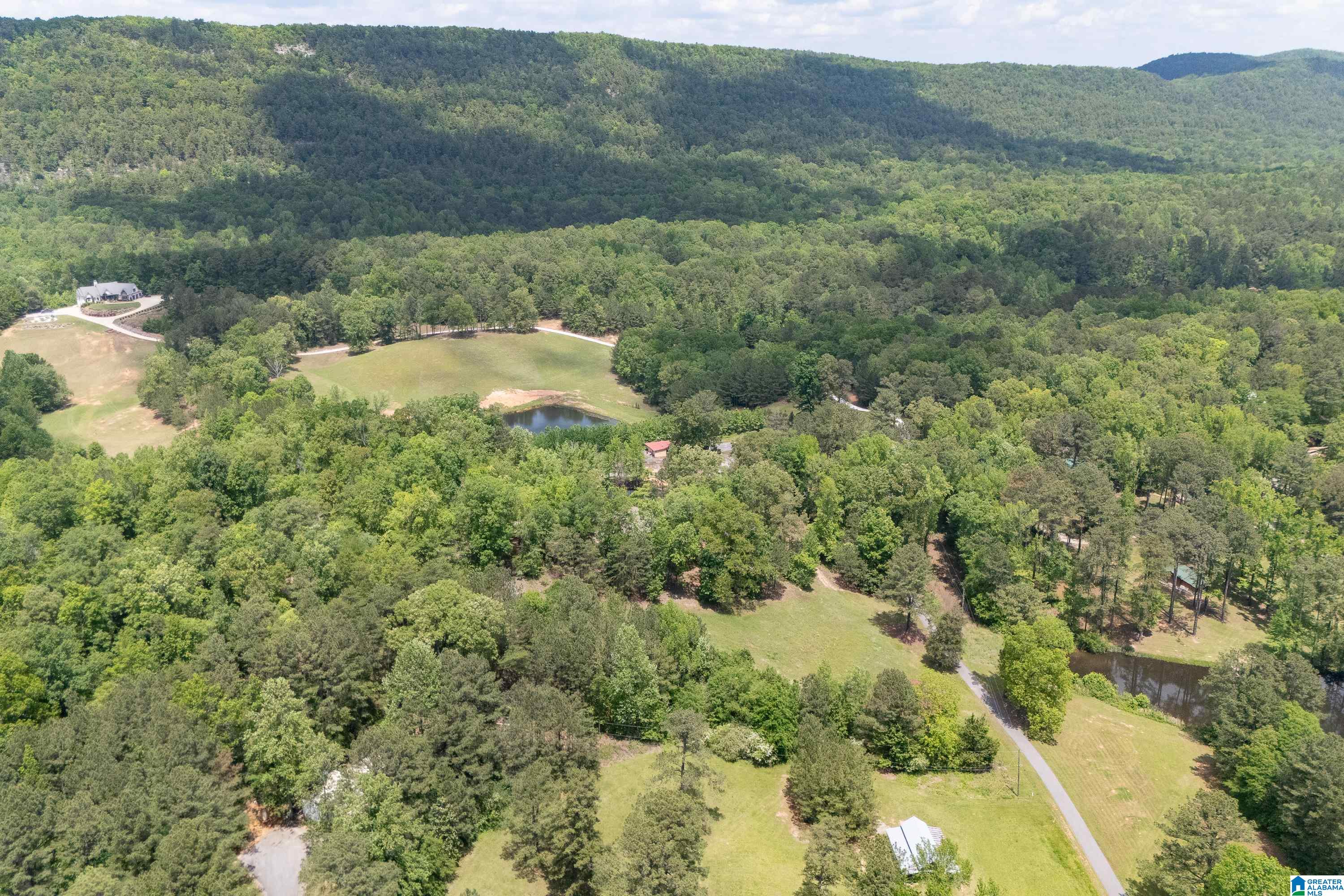 297 Cain Road Chelsea, AL 35043 - Photo 20 of 33