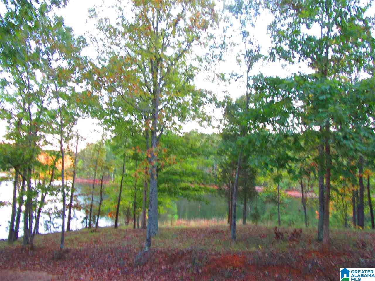 281 Wedowee Al, Unit 66 ACRES Lineville, AL 36266 - Photo 5 of 10