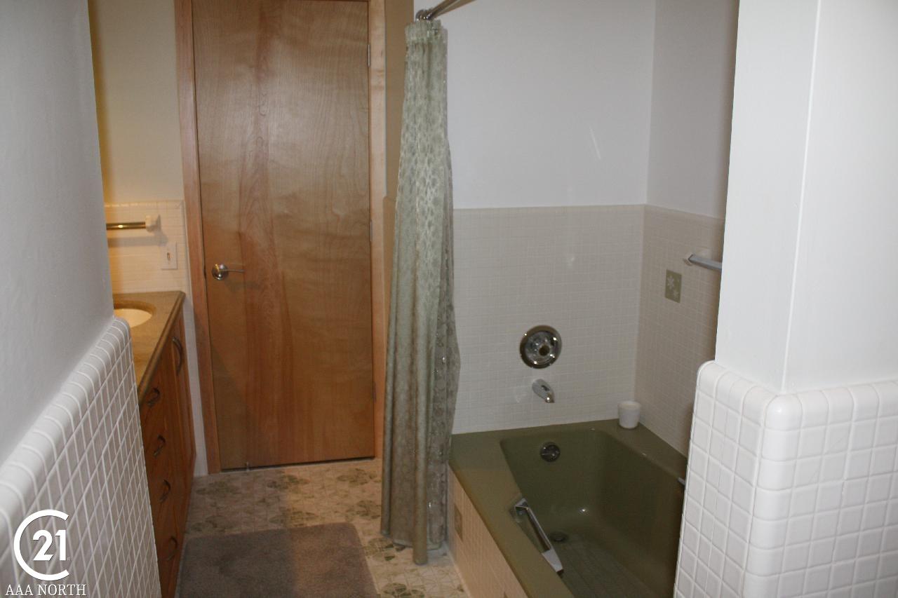 6961 Martin Road Imlay City, MI 48444 - Photo 19 of 39 master bath