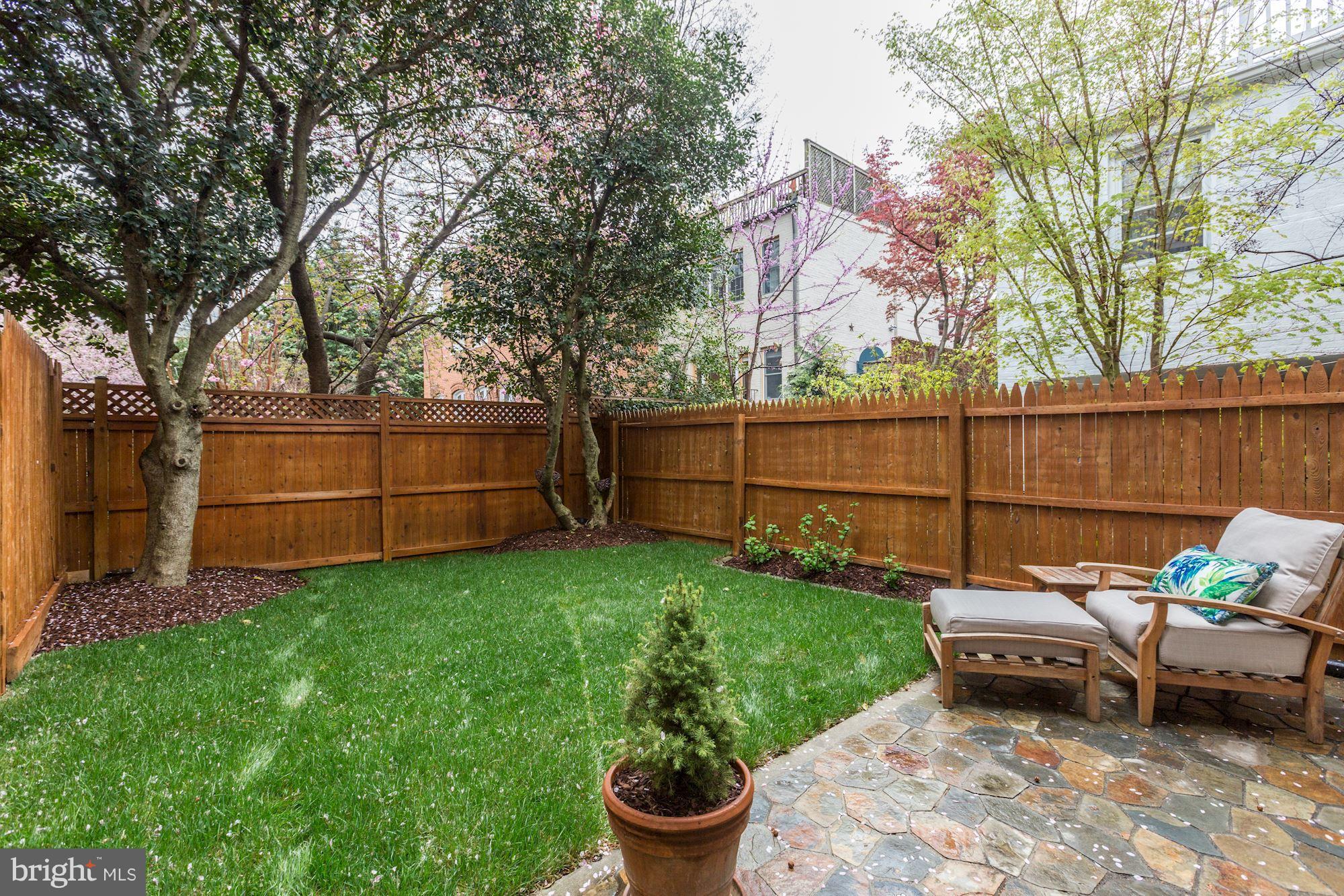 3522 P Street Northwest Washington, DC 20007 - Photo 23 of 30 Garden views