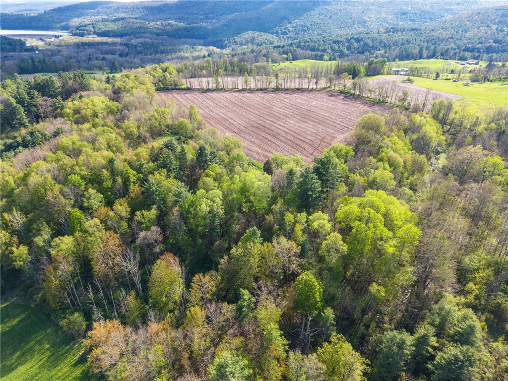 Westkill Road North Blenheim, NY 12131 - Photo 35 of 38