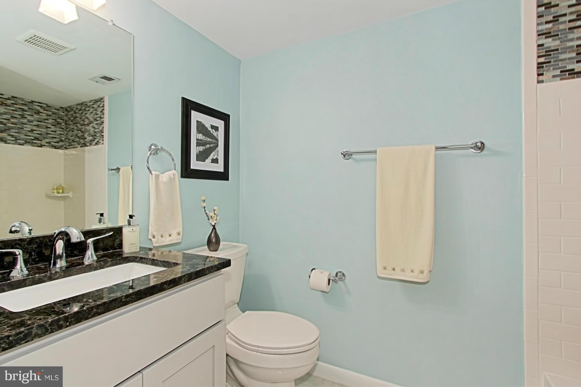 11134 Saffold Way Reston, VA 20190 - Photo 20 of 30 Bath