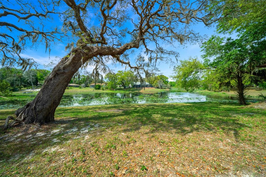 9923 East St Regis Court Inverness, FL 34450 - Photo 29 of 76