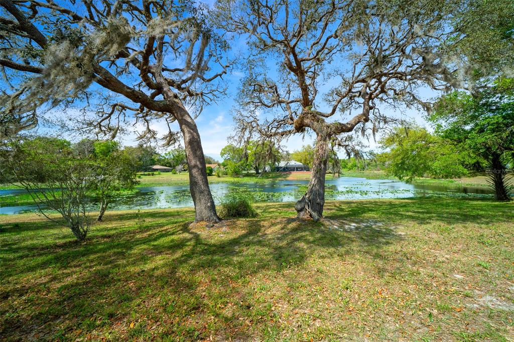 9923 East St Regis Court Inverness, FL 34450 - Photo 30 of 76
