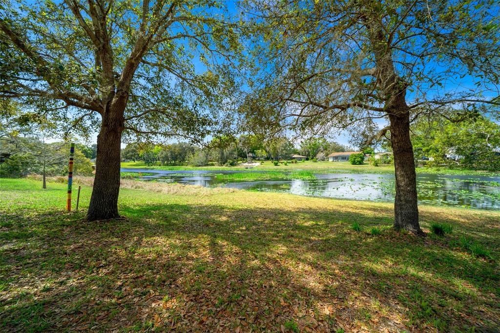 9923 East St Regis Court Inverness, FL 34450 - Photo 31 of 76 a view of an outdoor space with a lake view