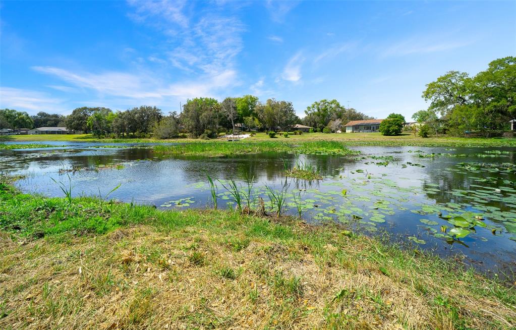 9923 East St Regis Court Inverness, FL 34450 - Photo 32 of 76 a view of a lake with a big yard and large trees