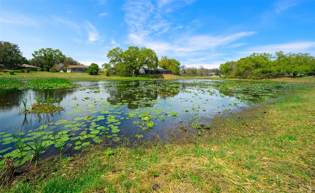 9923 East St Regis Court Inverness, FL 34450 - Photo 35 of 76 a view of a lake with a big yard