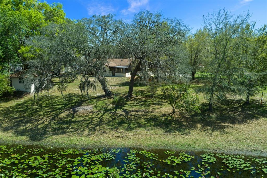 9923 East St Regis Court Inverness, FL 34450 - Photo 10 of 76