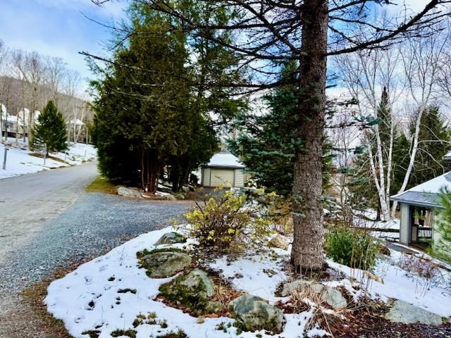 982 Brook Road, Unit 4 Stowe, VT 05672 - Photo 2 of 53