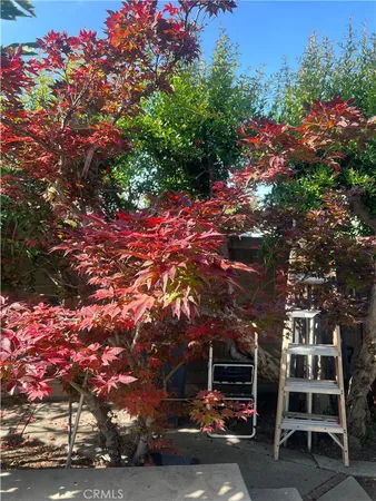 $1,625,000 | 19003 Vickie Avenue, Cerritos, CA 90703