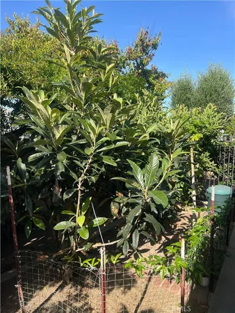 $1,625,000 | 19003 Vickie Avenue, Cerritos, CA 90703