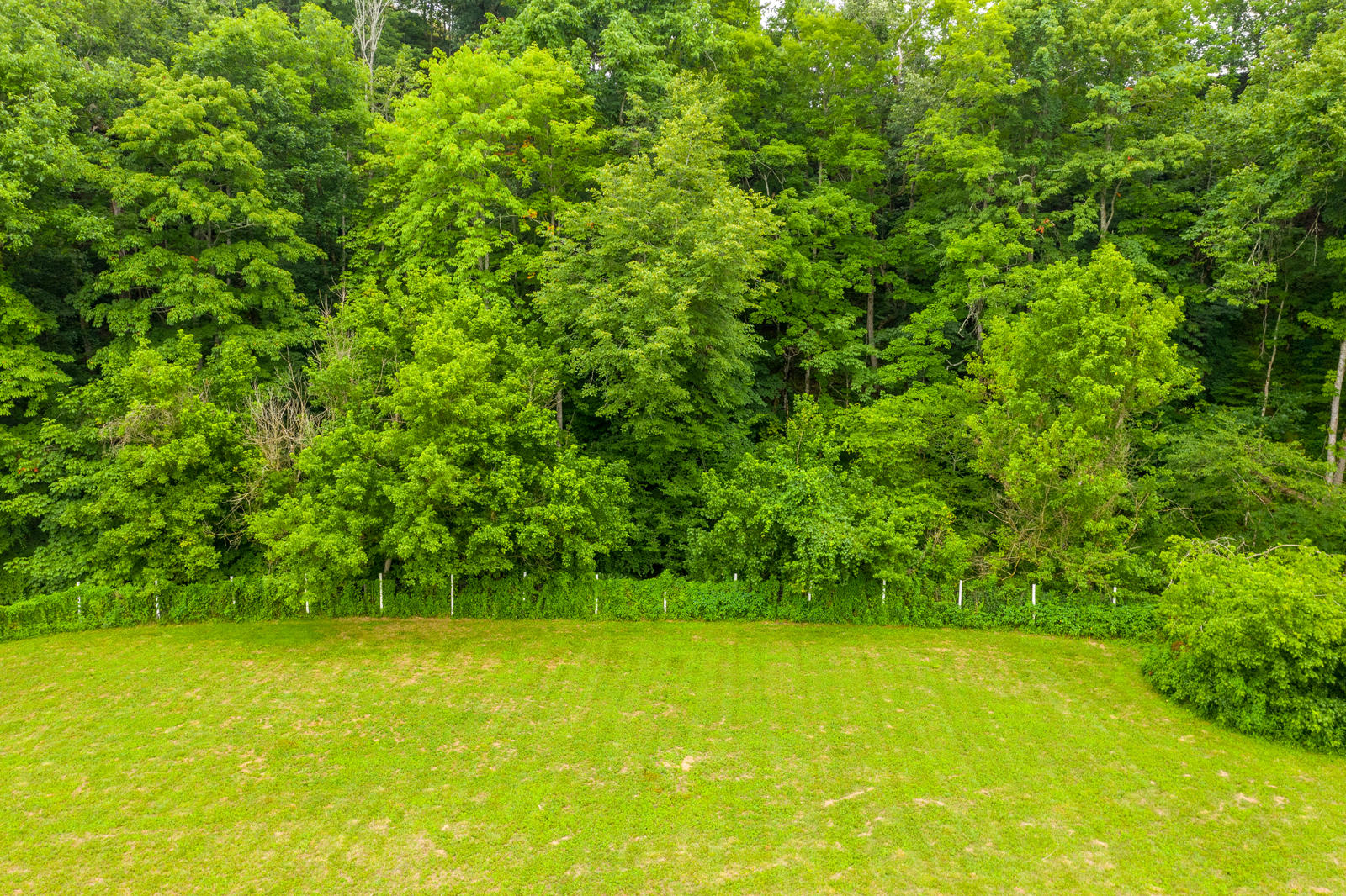 3425 Sims Cemetery Road Sevierville, TN 37876 - Photo 19 of 37 outside 12