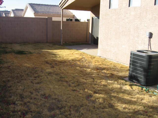 1785 East Appaloosa Road Gilbert, AZ 85296 - Photo 4 of 5 Backyard