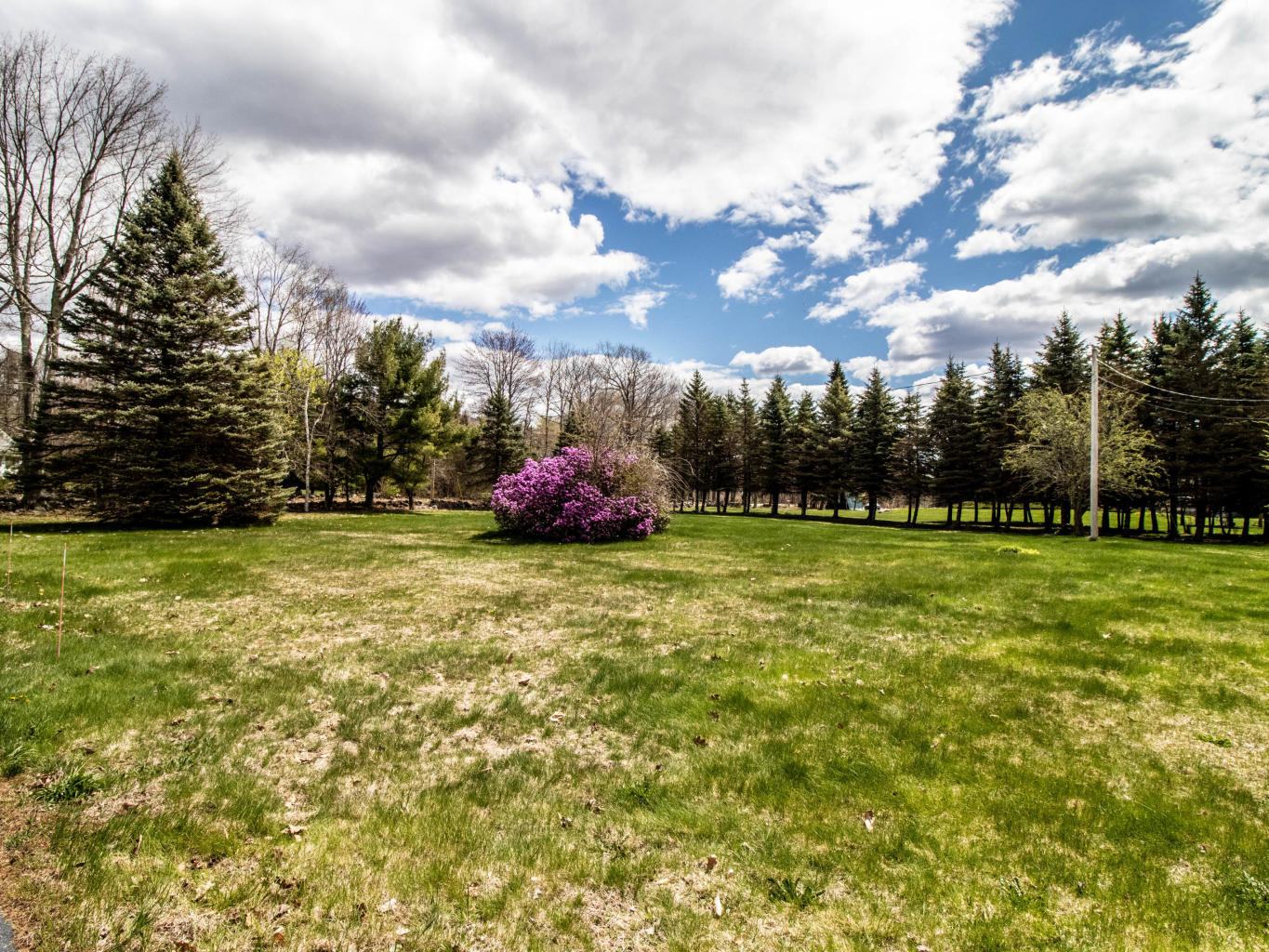 581 Beech Ridge Road North Berwick, ME 03906 - Photo 3 of 29 Yard