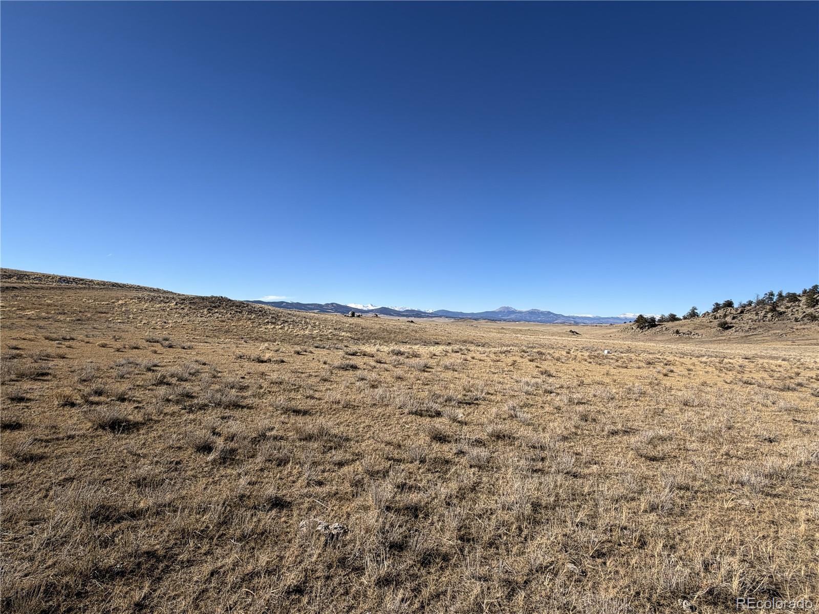 2665 Caddo Road Hartsel, CO 80449 - Photo 2 of 17