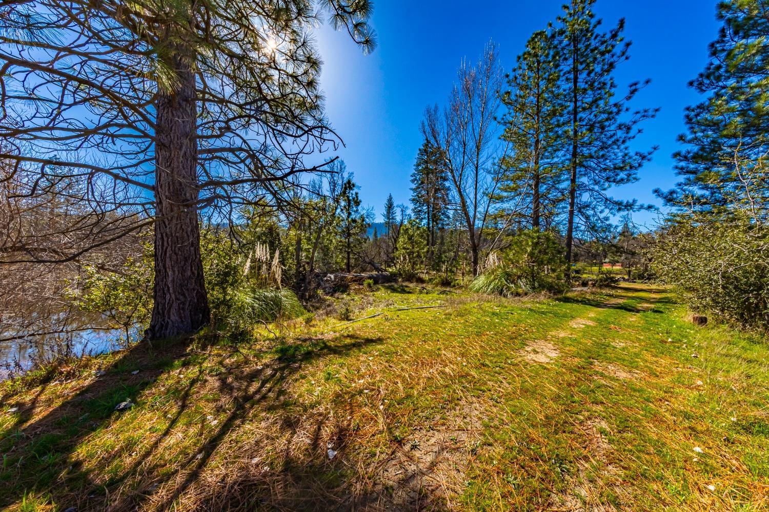 0 Wortham Road Oakhurst, CA 93644 - Photo 13 of 21 a view of yard along with trees