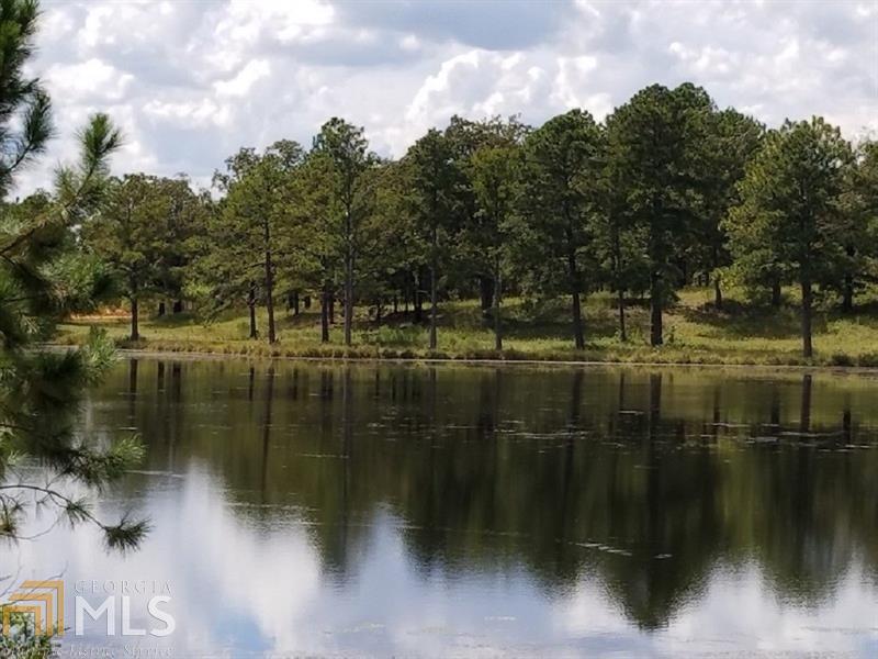 0 Mallard Circle, Unit 20 Butler, GA 31006 - Photo 1 of 1 View from opposite side of pond looking at lots for sale.