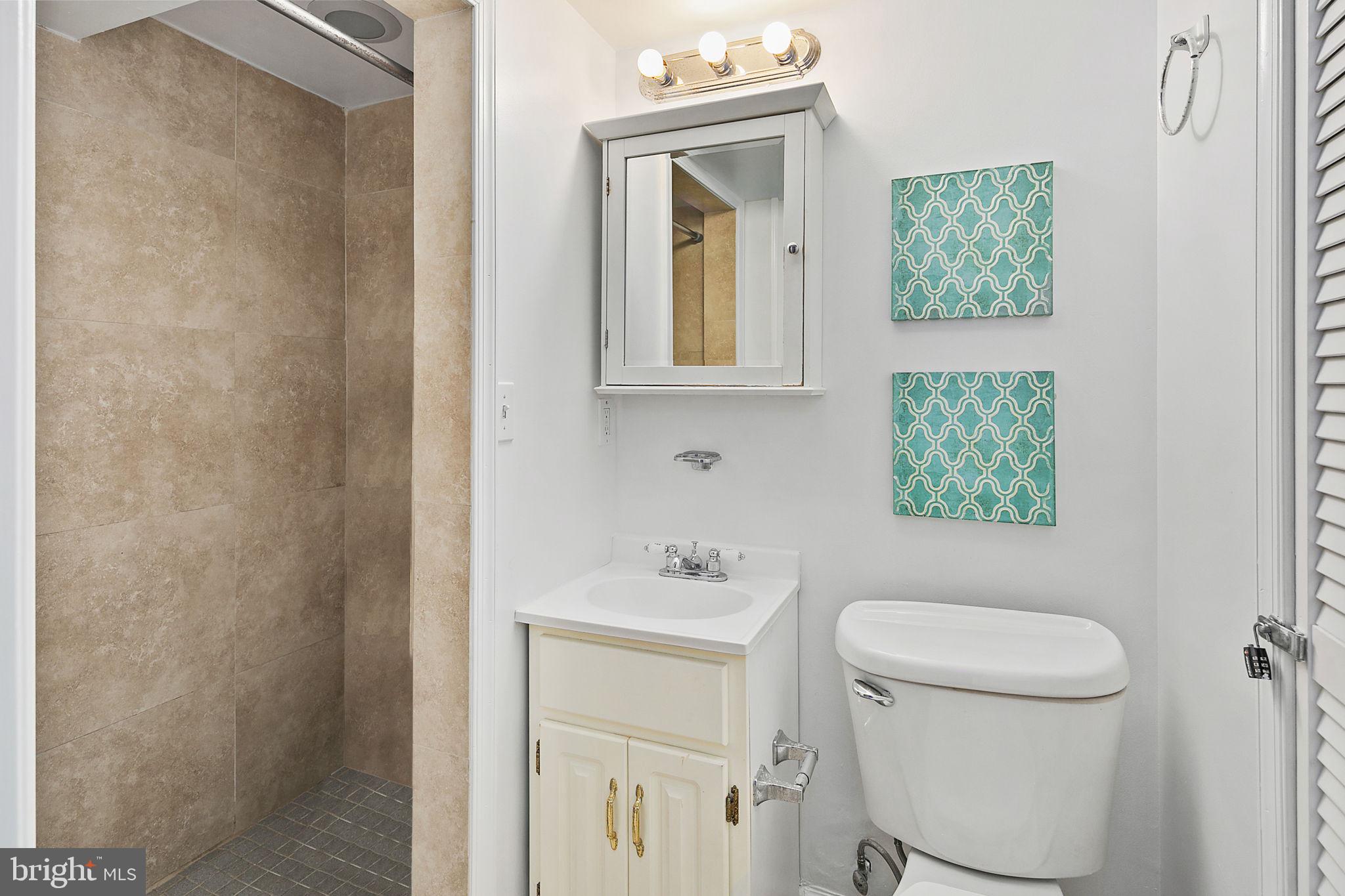 764 13th Street Southeast Washington, DC 20003 - Photo 17 of 19 Basement Bathroom