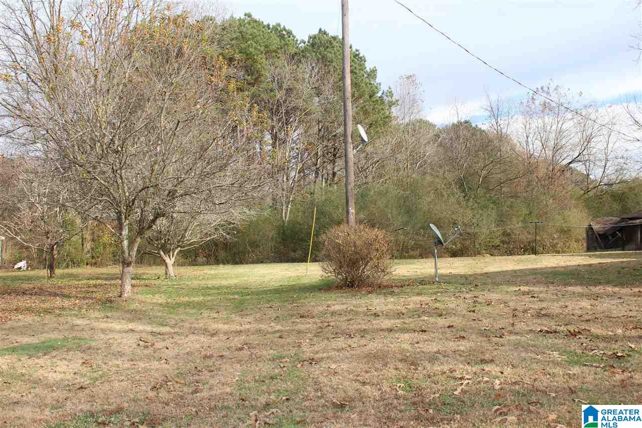 160 Max Haynes Road Altoona, AL 35952 - Photo 31 of 38