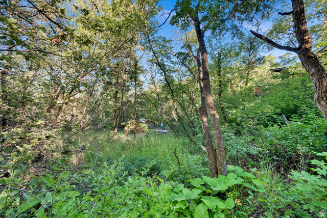 1234 Maple Lane, Unit 123 Midway, UT 84049 - Photo 18 of 19 Wooded property Lot 124 featuring mature trees and varied foliage