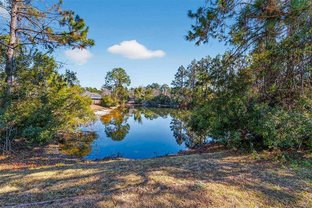 332 Edge Water Drive Brunswick, GA 31525 - Photo 4 of 50