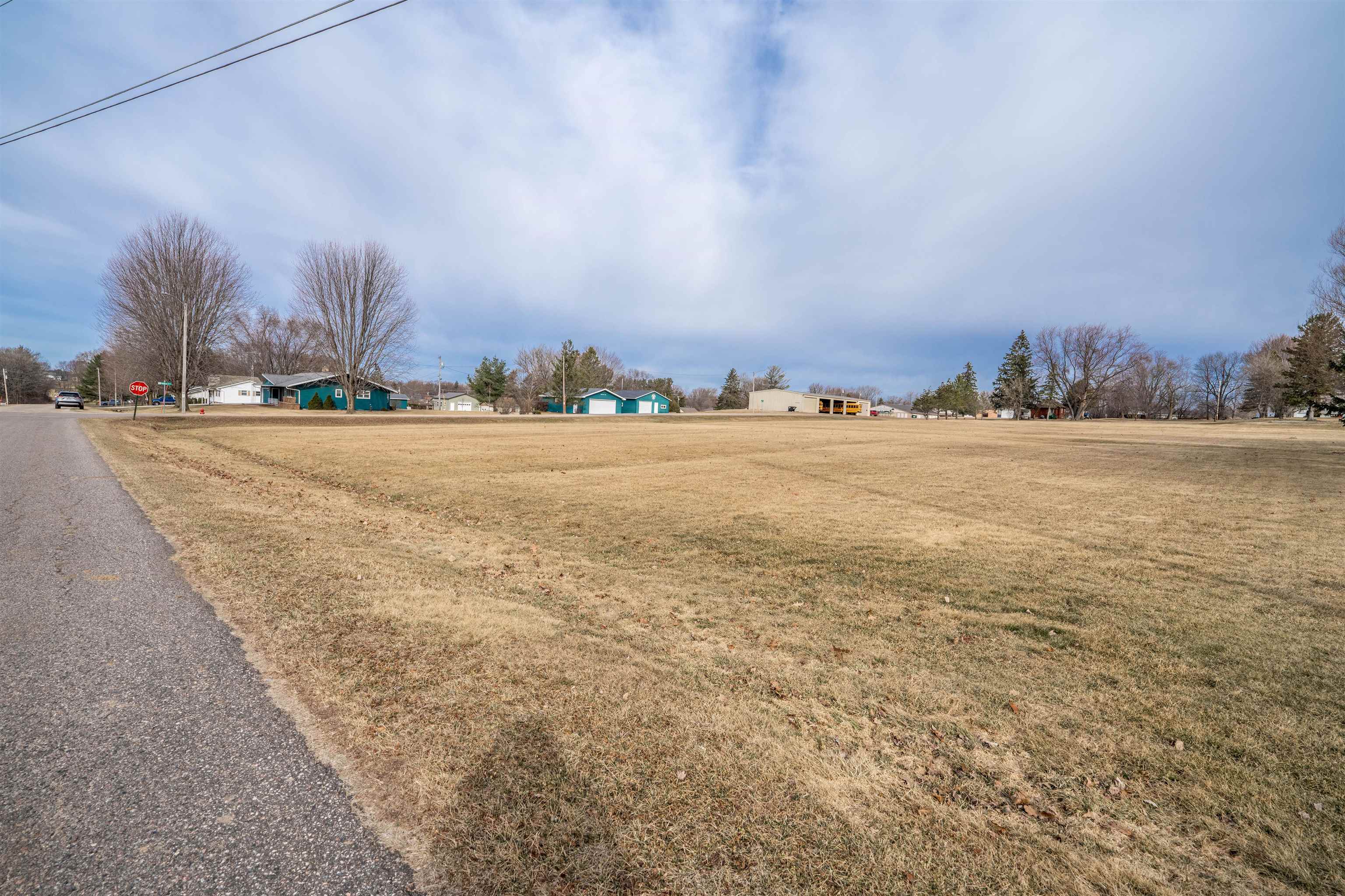 Lot On Lot On 2nd Street, Unit HARTJES AVENUE Rudolph, WI 54475 - Photo 4 of 11