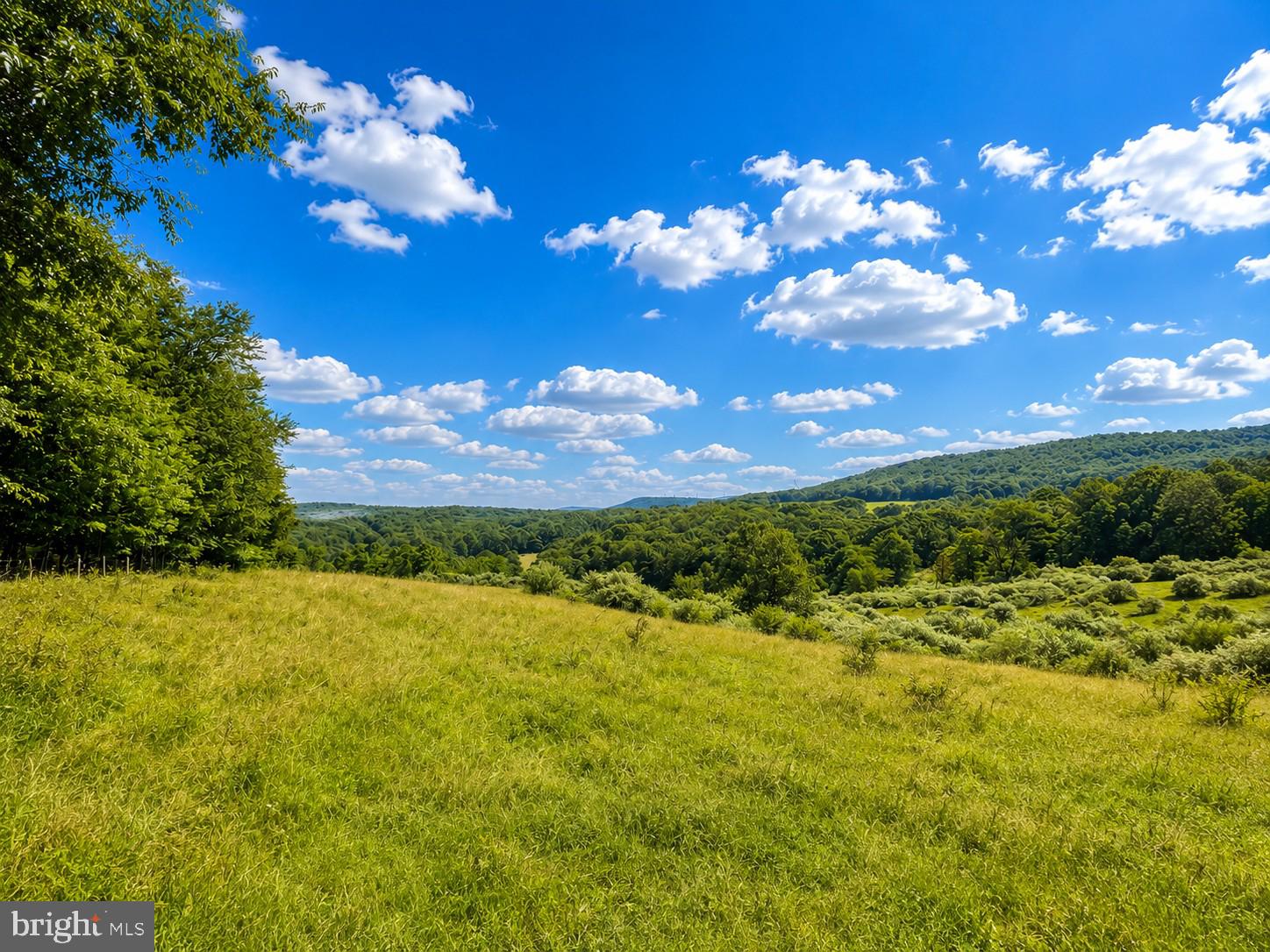 97-acres Lot C 97-acres Road Oakland, MD 21550 - Photo 20 of 21