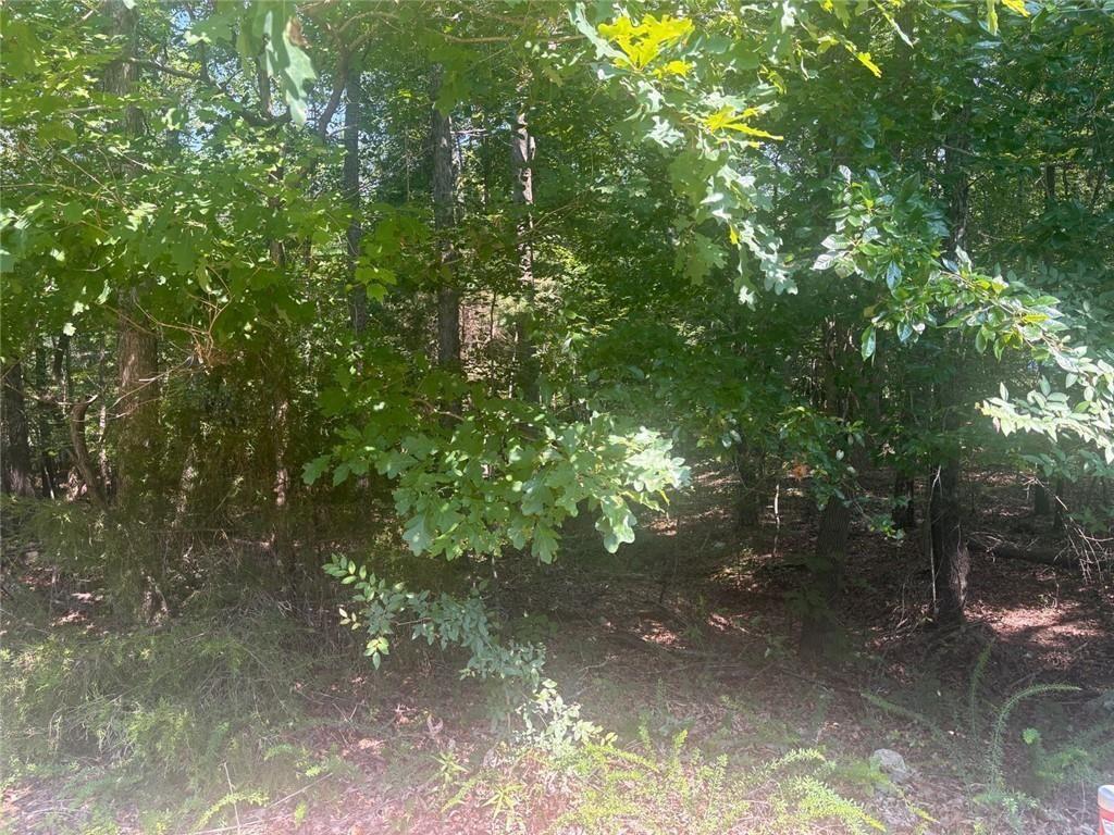 13 Jewell Drive Southeast Rome, GA 30161 - Photo 3 of 5 a view of a forest