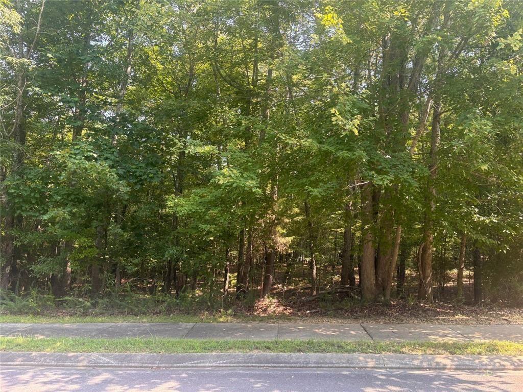 13 Jewell Drive Southeast Rome, GA 30161 - Photo 4 of 5 a view of a yard