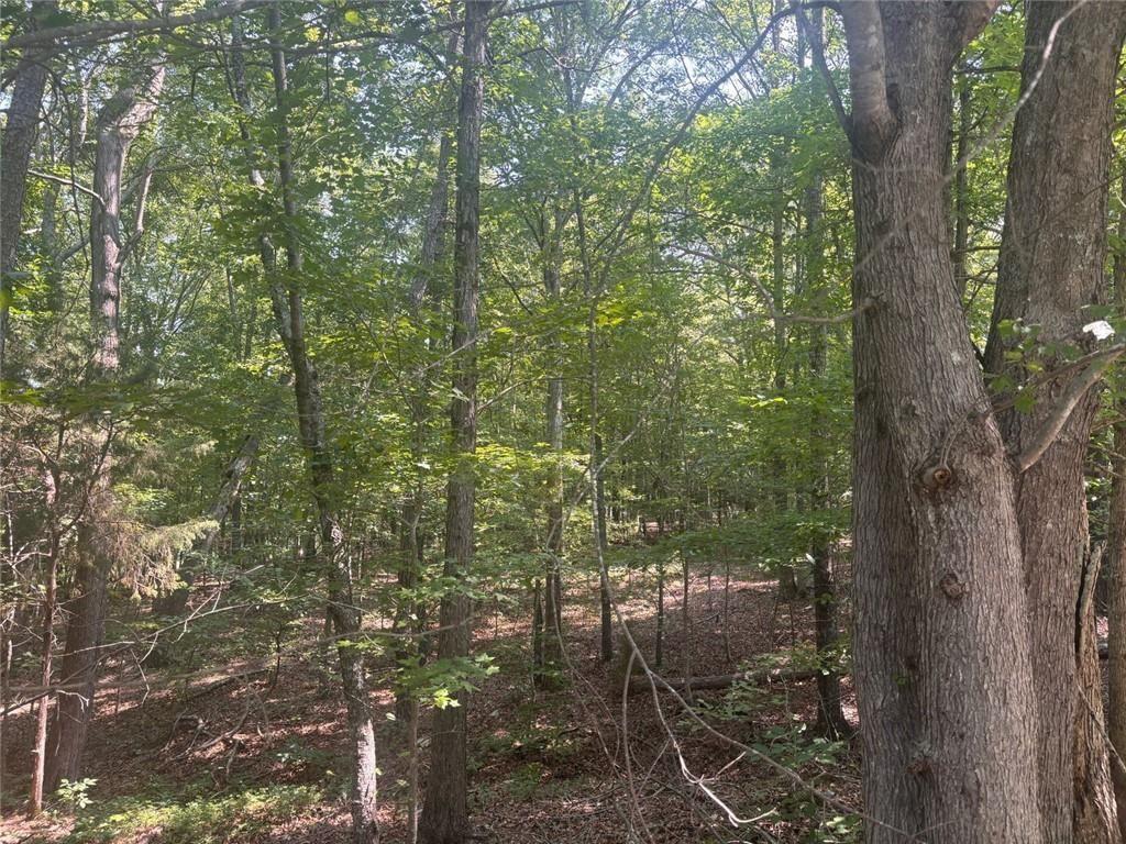 13 Jewell Drive Southeast Rome, GA 30161 - Photo 5 of 5 a view of city from a balcony