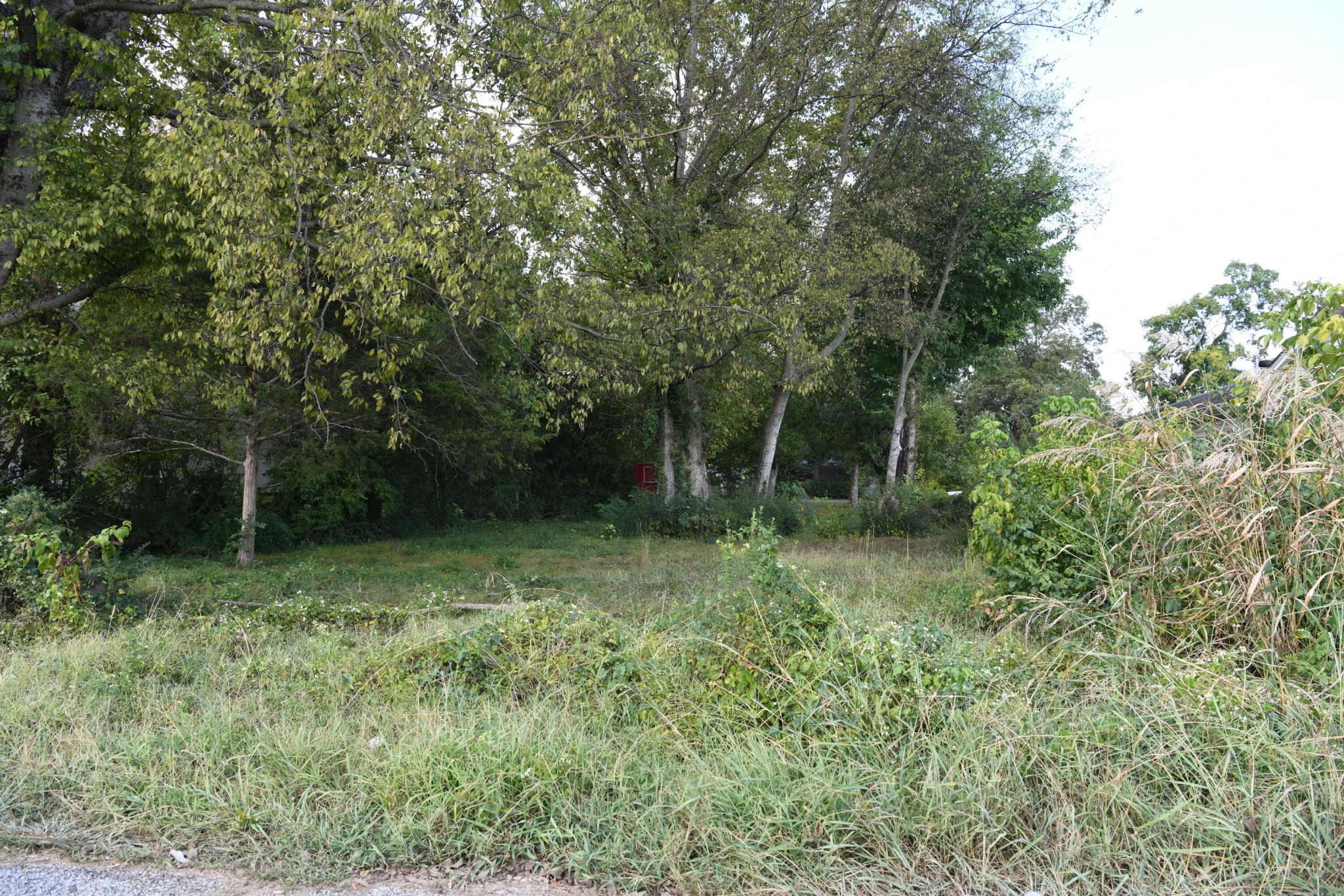0 Indiana Avenue Dayton, TN 37321 - Photo 4 of 21