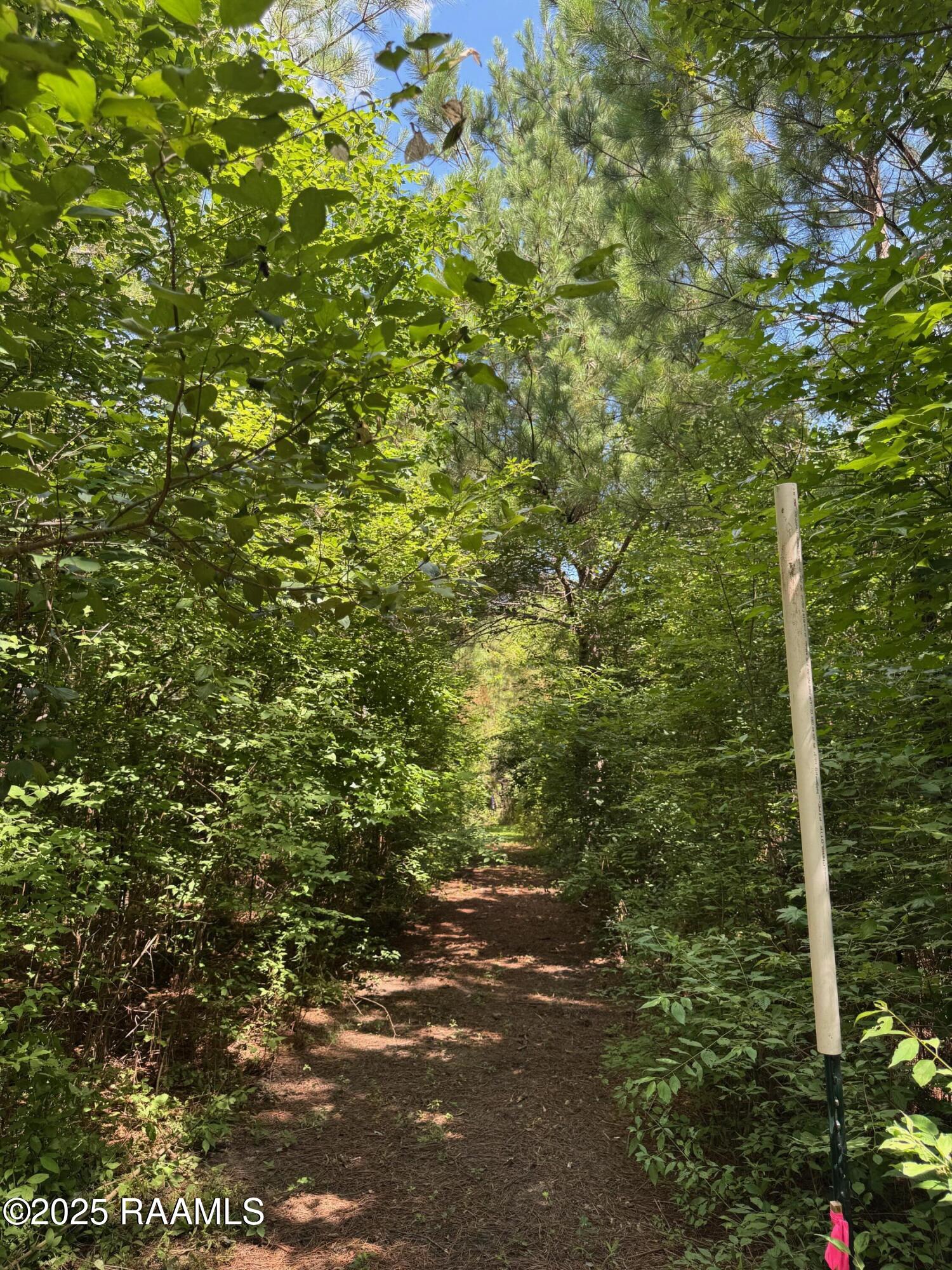 Tbd Frozard Road Arnaudville, LA 70512 - Photo 12 of 14 IMG_0705