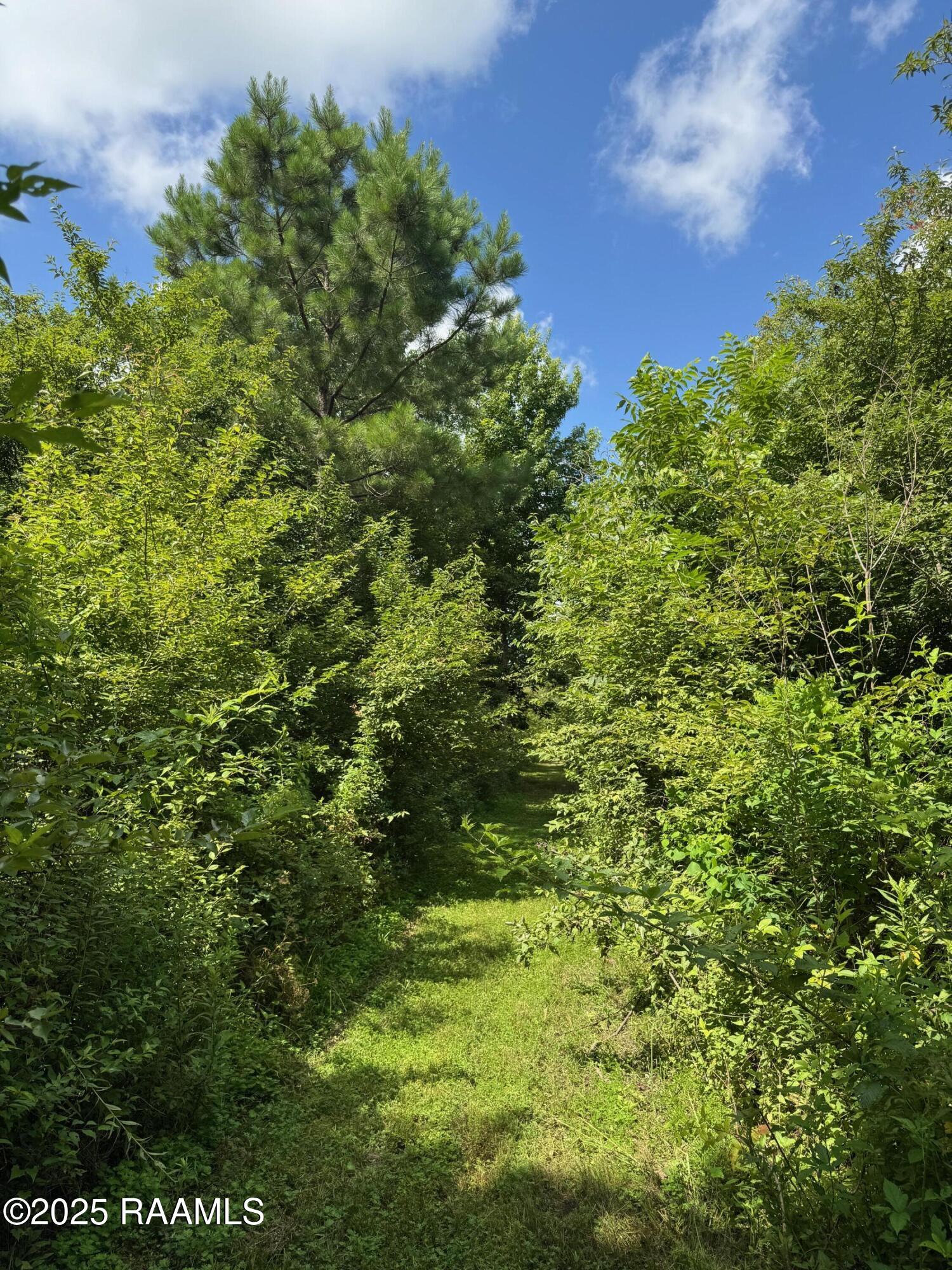 Tbd Frozard Road Arnaudville, LA 70512 - Photo 5 of 14 IMG_0687