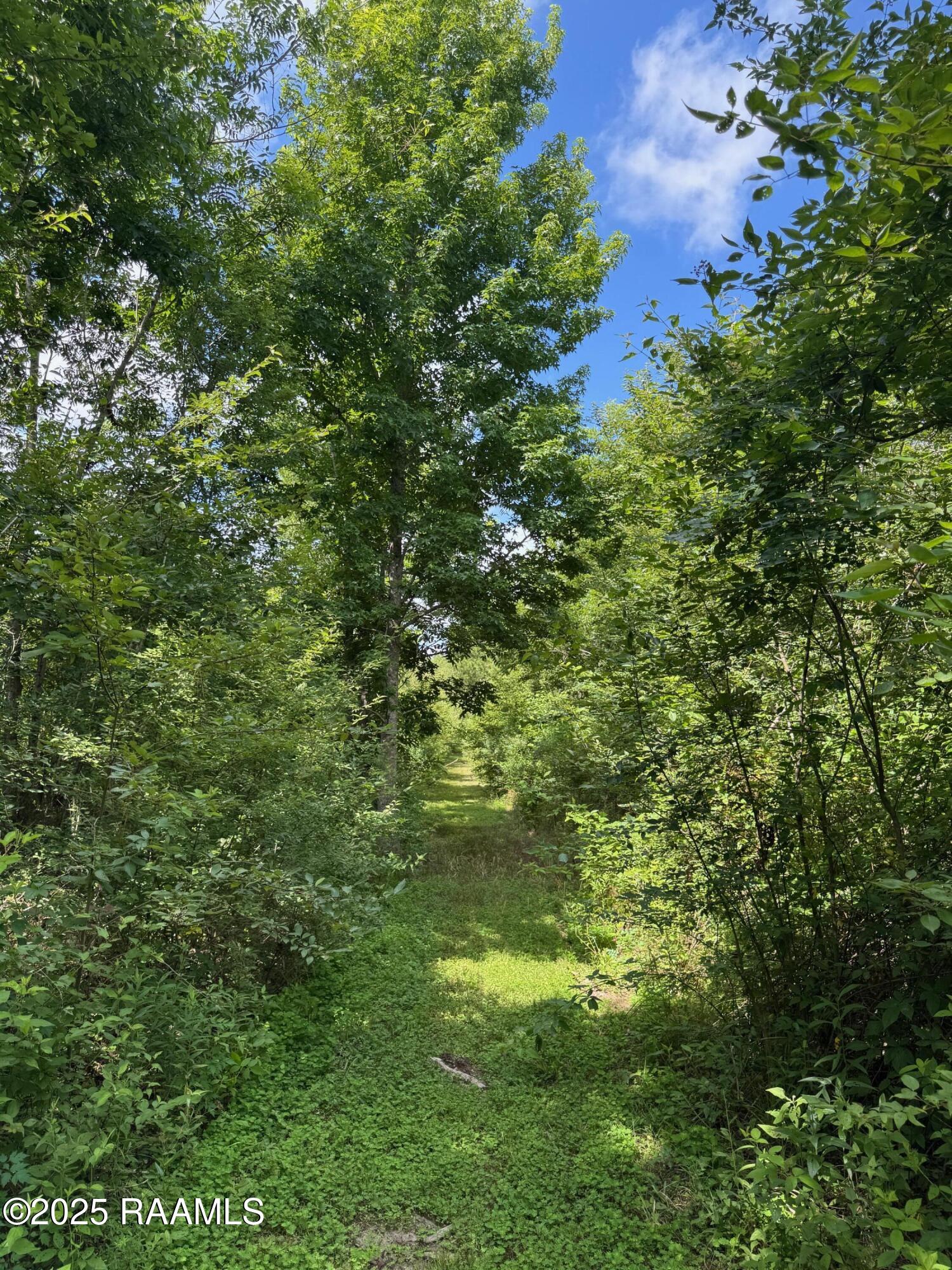 Tbd Frozard Road Arnaudville, LA 70512 - Photo 7 of 14 IMG_0688