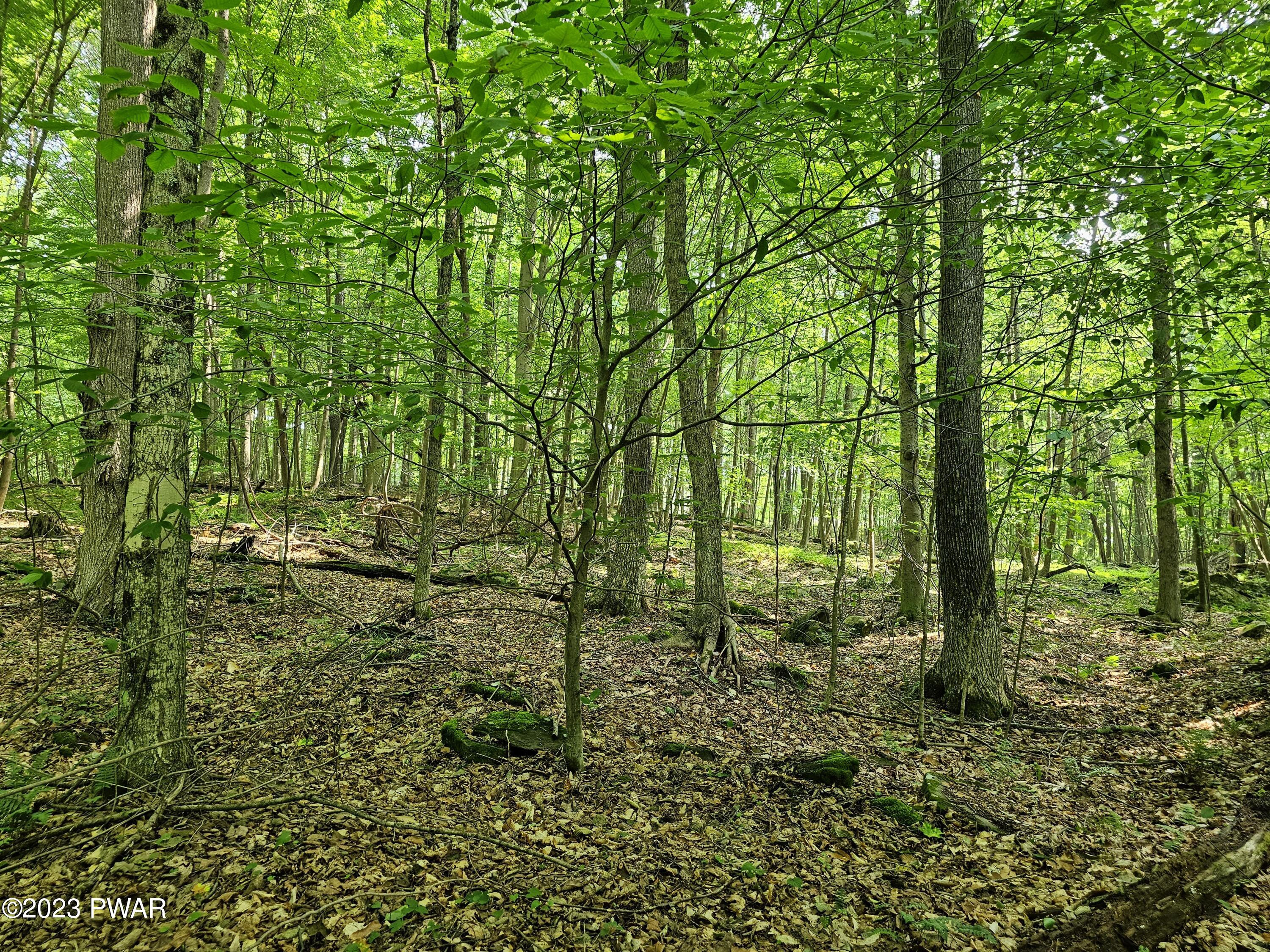 Lot 61 Rock Run Road Damascus, PA 18415 - Photo 23 of 56