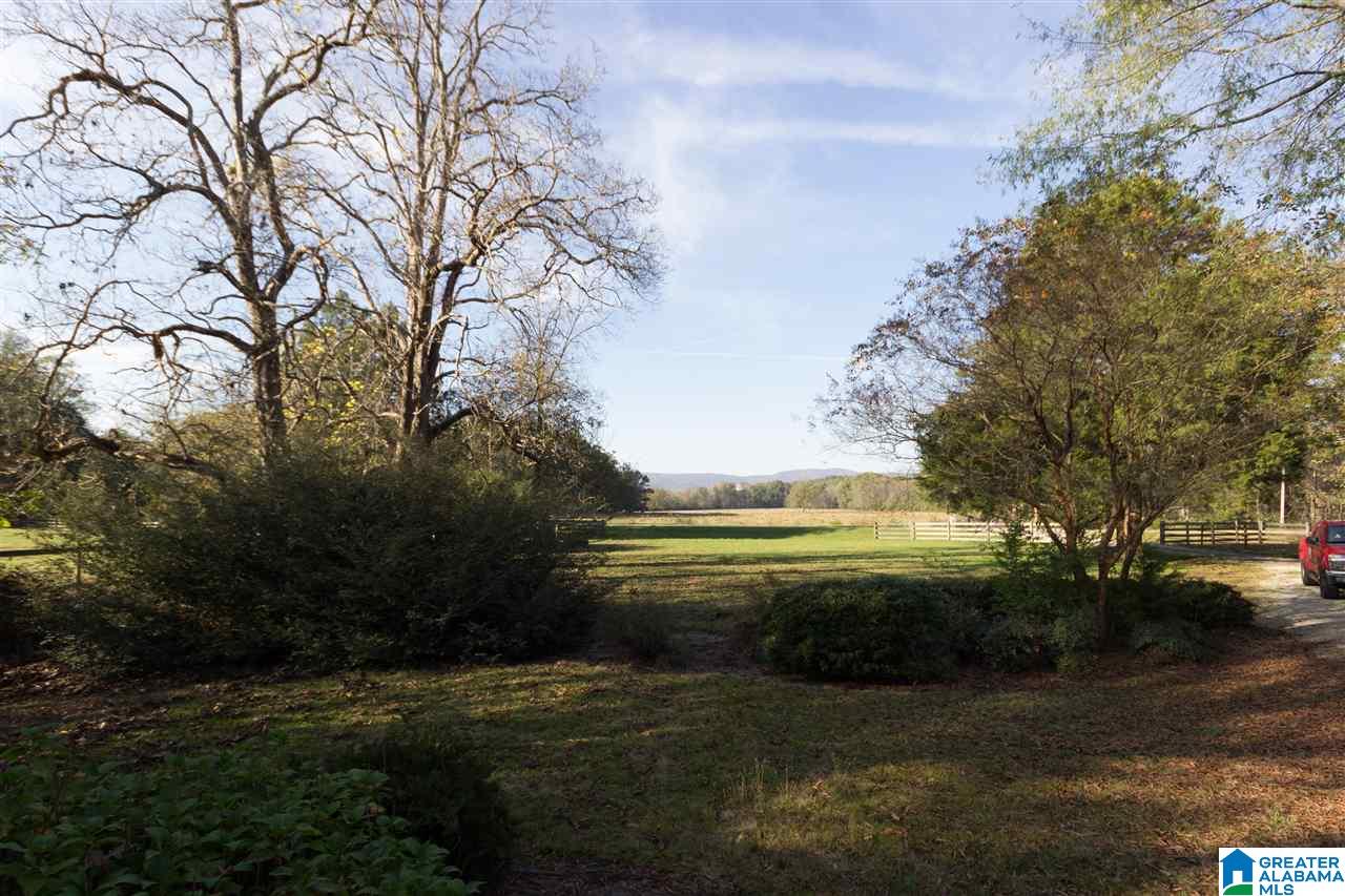 1516 McIntosh Road Oxford, AL 36203 - Photo 29 of 50