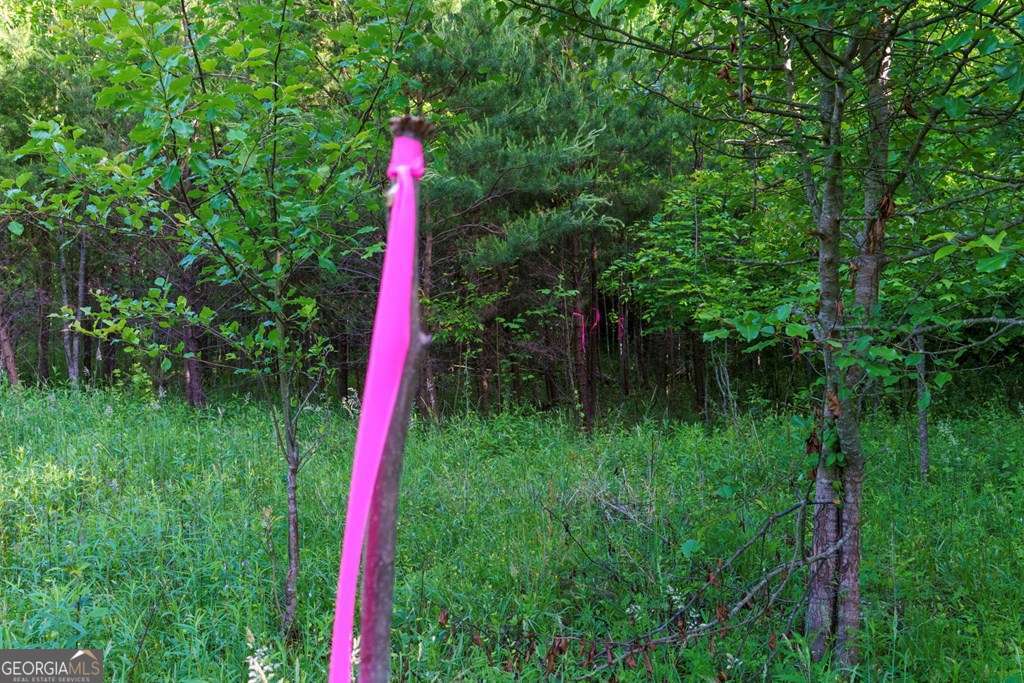1 West Gum Log Road Warne, NC 28909 - Photo 21 of 26