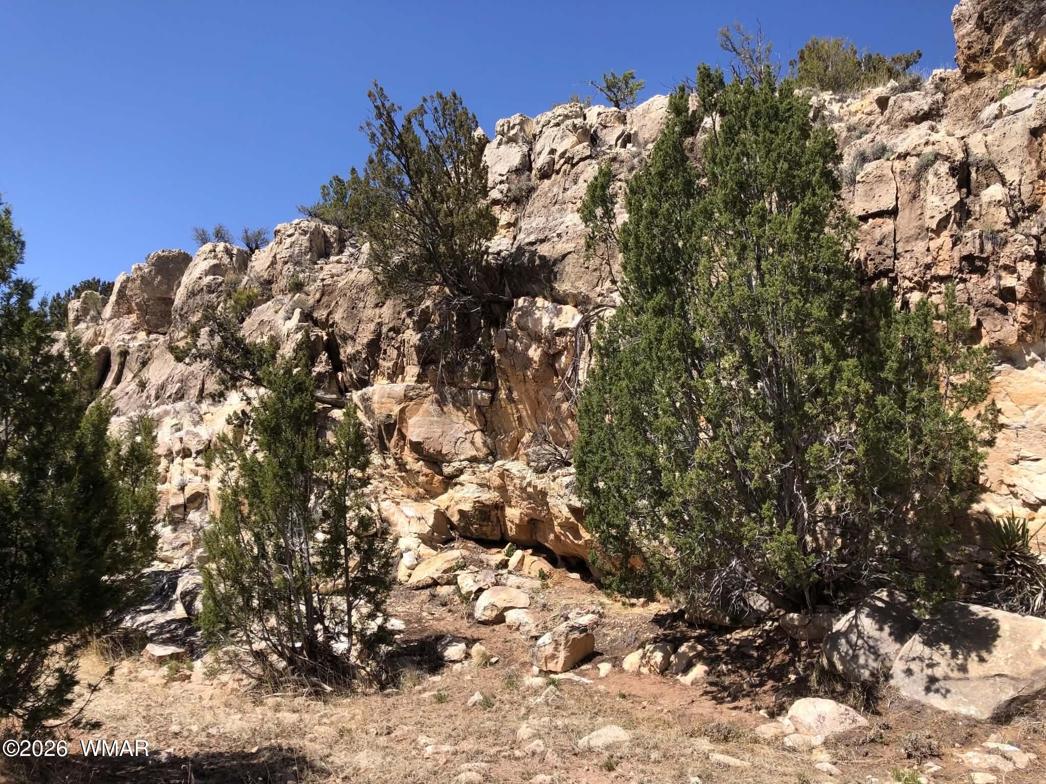 785 Twin Tanks Road Heber, AZ 85928 - Photo 4 of 39