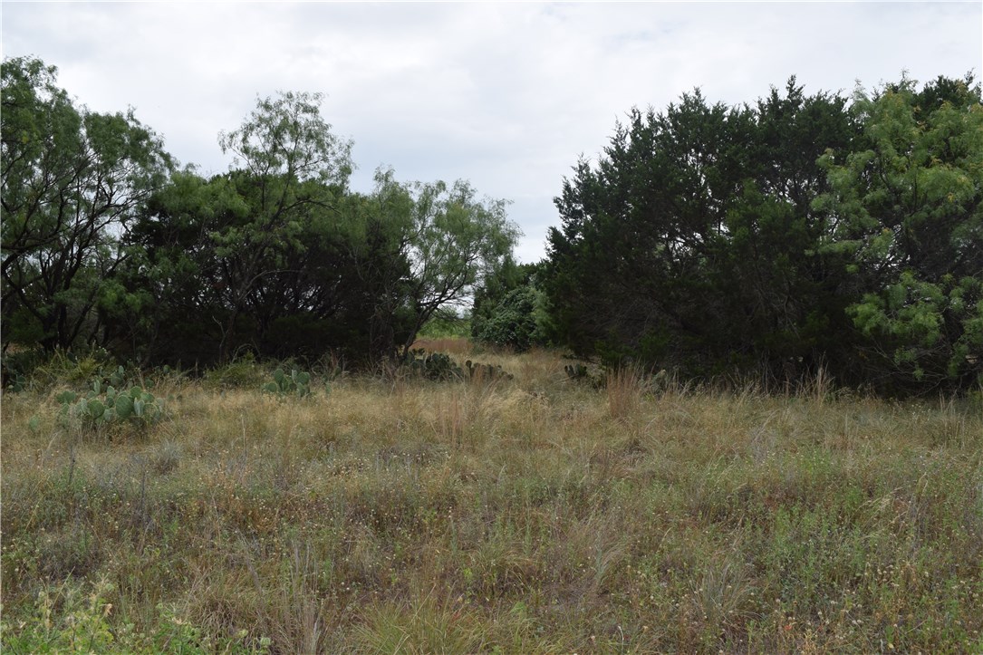 0 Meesmith Street Burnet, TX 78611 - Photo 1 of 1