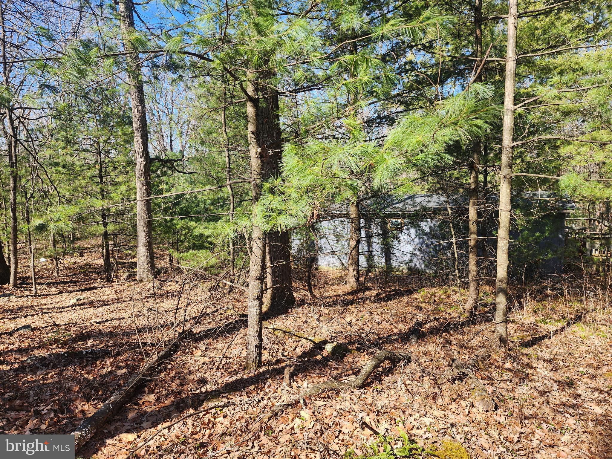 1080 Cove Mountain Road Mathias, WV 26812 - Photo 13 of 44
